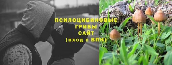 дурь Абаза